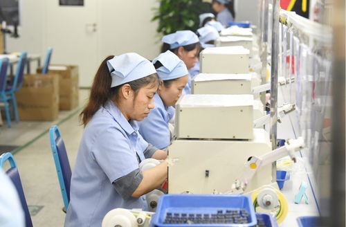 袁州區 產品出海勢頭勁，企業生產倉儲忙