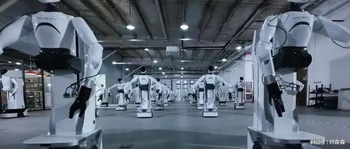 60億元合約刷屏，人形機器人從秀場到車間 倉儲業交付才是生死線