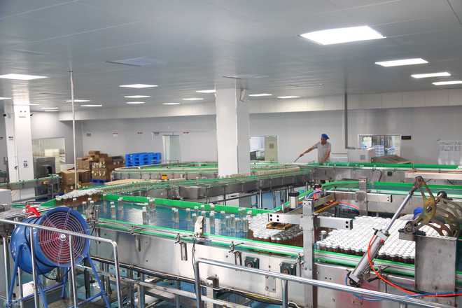 每逢佳節胖三斤？低糖即食燕窩代工廠攜手倉儲業，助你搶占健康消費新賽道